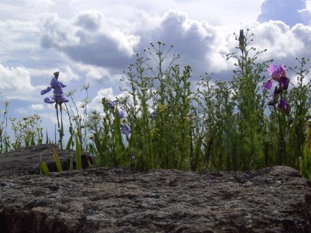 Impressionen im Heidepark Soltau
